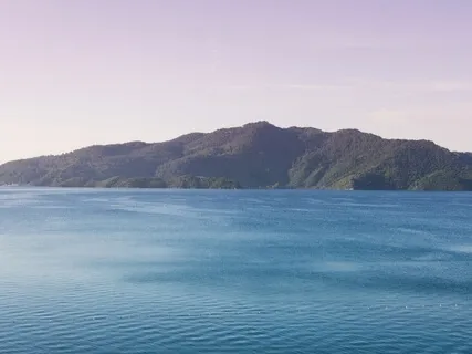 Fostering Loving Kindness