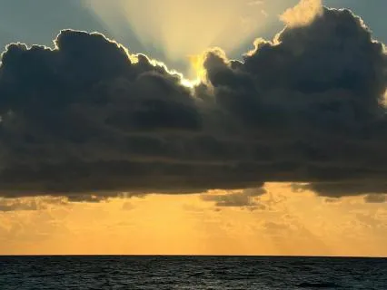 Metta (Loving-Kindness) Meditation