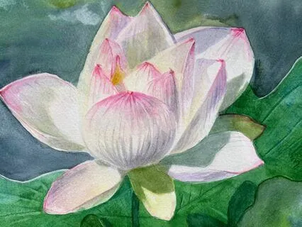 Metta Loving Kindness - Widening Our Circle Of Compassion