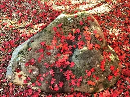 Metta - Lovingkindness Practice For Moms