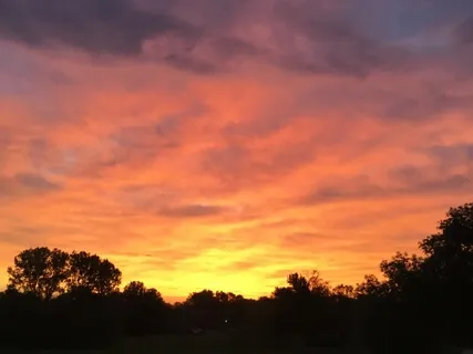 Metta - Lovingkindness