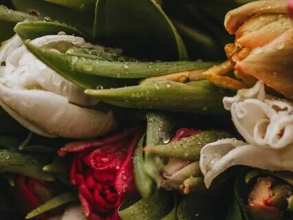 Metta Meditation For Expecting Mamas