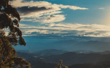 Metta Meditation For Feeling Good Now