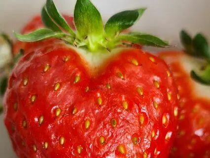 Metta Meditation Loving Kindness