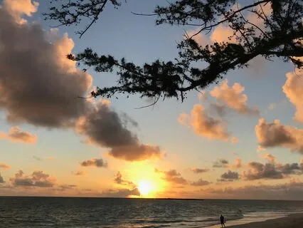 Metta Meditation On Loving-Kindness For All Beings