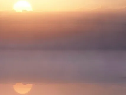 Metta Meditation For Healing & Support