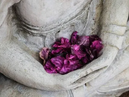 Metta Meditation: Your Path To Loving Kindness