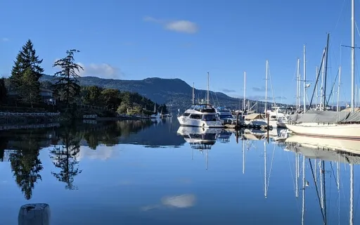 Metta Mondays - April 25, 2022