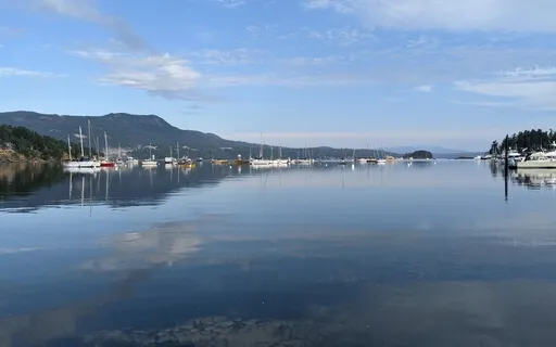 Metta Mondays - May 16, 2022