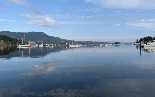 Metta Mondays - May 2, 2022