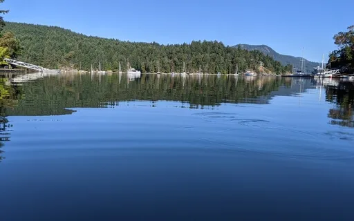 Metta Mondays - May 30, 2022