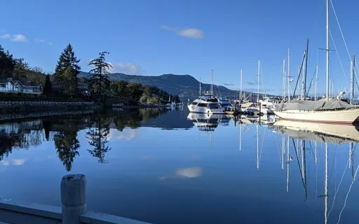 Metta Mondays - May 9, 2022