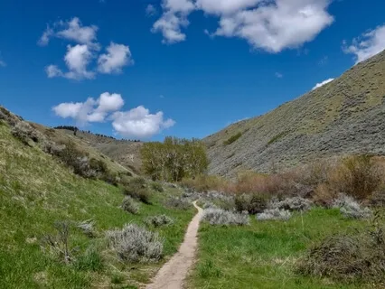 Metta Practice For Self (Loving-Kindness)