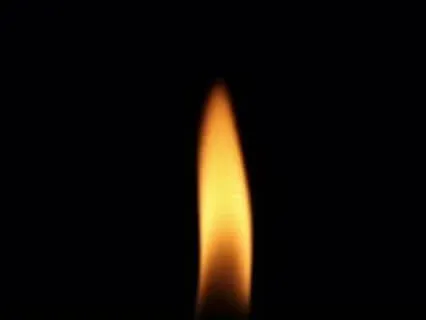 Metta-Tate Around The Campfire