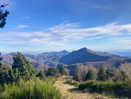 Metta - Unfolding Into A Wider Love