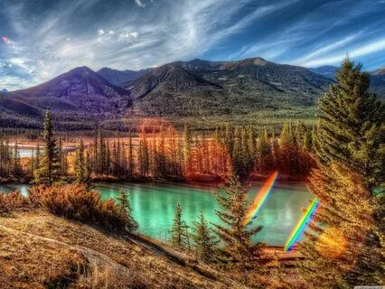 Mettatation #11 Pan-Era