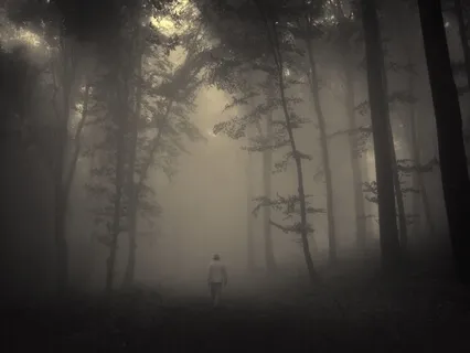 Mettatation #2 Lost & Found