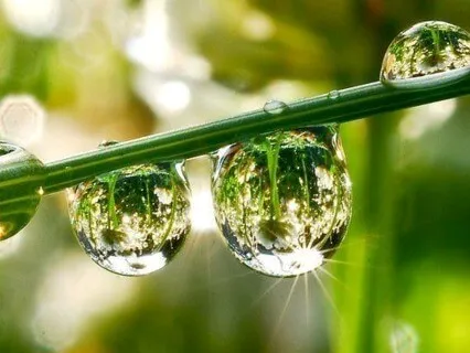 Micro-curs per a Tinnitus o Acúfens