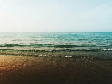 Micro-Dosing Safety - Nervous System Nourishment