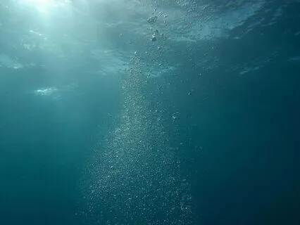 Micro Moments Of Sensory Reset