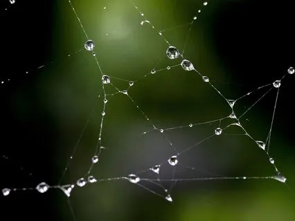 Micro-Movement: Release Head And Neck Tension