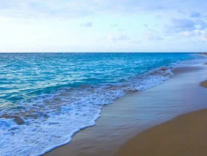 Micro Practice - Nature Based Breath Awareness