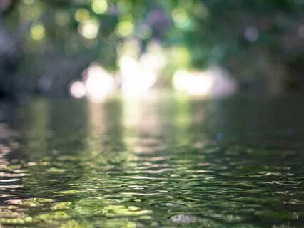 Micro Practice - Nature-Based Thoughts Awareness