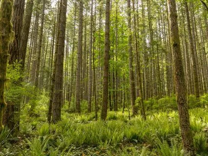 Micro Practice - Orienting For Calm And Presence