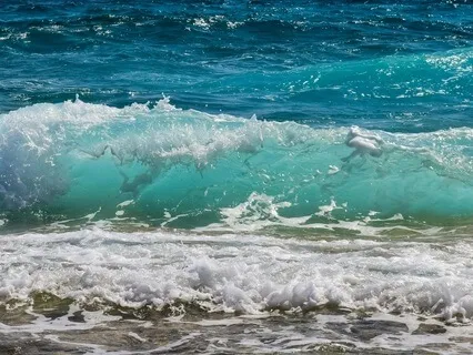 Micro-Talk: 3 Steps To Sorry (The Wisdom Of The Waves)