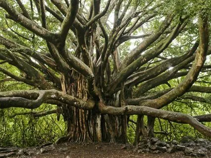 [Microdose] Energy Grounding