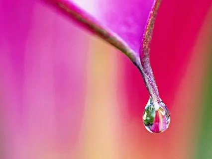 Microdose Moments Of Safety