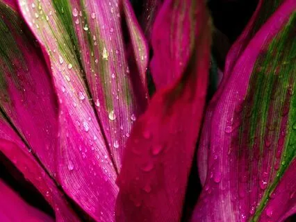 Meditation For When You’re Stressed & Overwhelmed