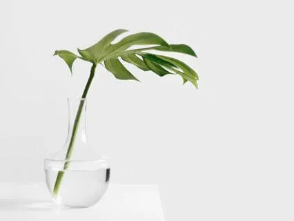 Mid-Day Work Refresh