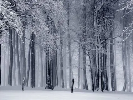 Mid-Solstice 432 Hz Winter Atmospheric Solfeggio Meditation