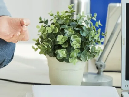 Mid Work Day Break Meditation