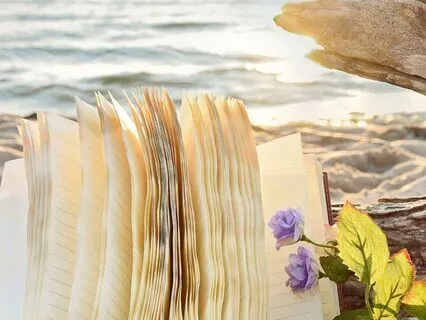 Mid-Year Reset Meditation | Realign, Refocus, & Manifest