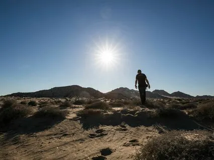 Midday Breathing Break