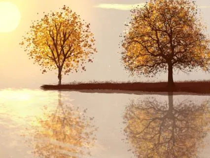 Midday Energy Reset: Return To Your Center