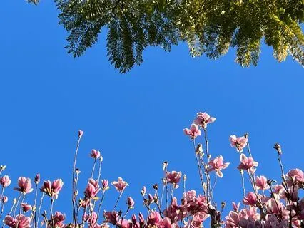 Midday Mindful Moment: Being Present