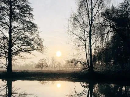 Midday Recharge: 90 Minutes To Clear Brain Fog