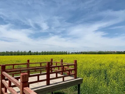 Midday Reset Meditation