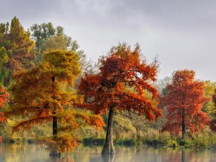 Quick Release And Realign Midday Meditation