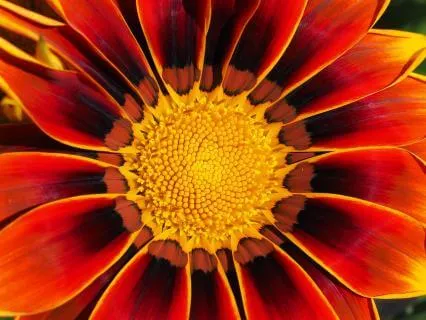 Midday Reset: Return To Your Energy & Begin Again