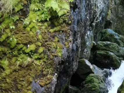 Midday Reset To Energise Yourself For The Day