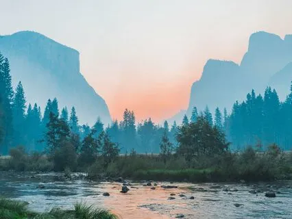 Midday Revitalizer | Energy Boost