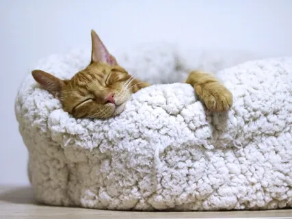 Middle Of The Night Nidra