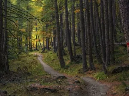 Middle Path - A Mindful Jewish Moment