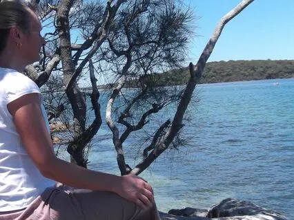 MIDL 29/36: Insight Meditation: Mindfulness Of Seeing