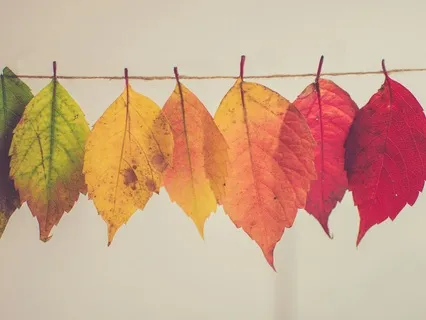 Midlife Transitions Series: Setting Intentions For Becoming