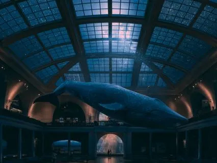Midnight At The Museum